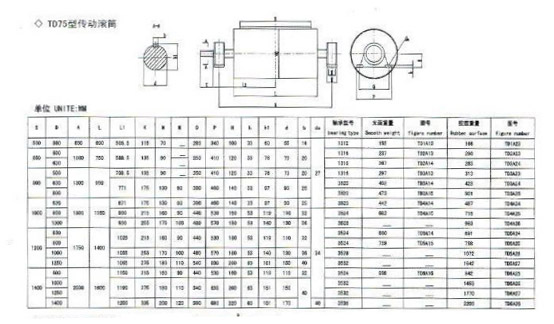  TD75 τυποποιημένη τροχαλία Drive